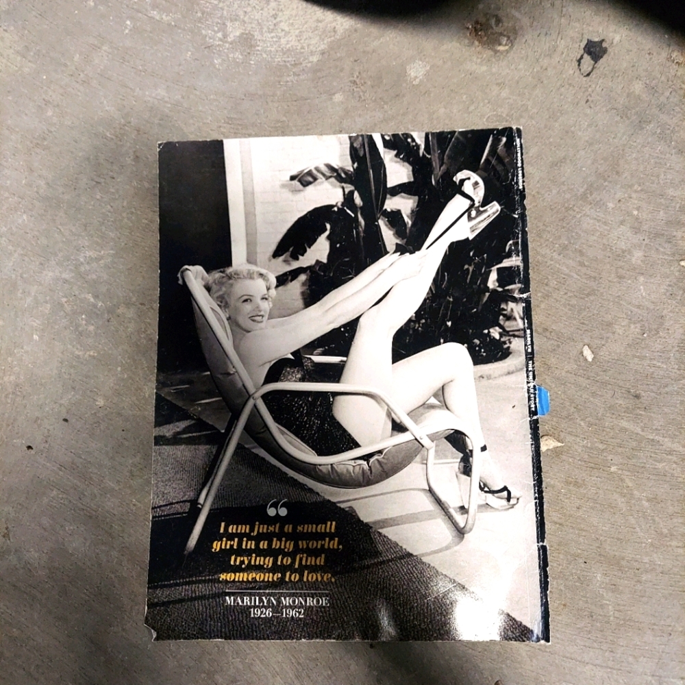 Marilyn Monroe frames pictures